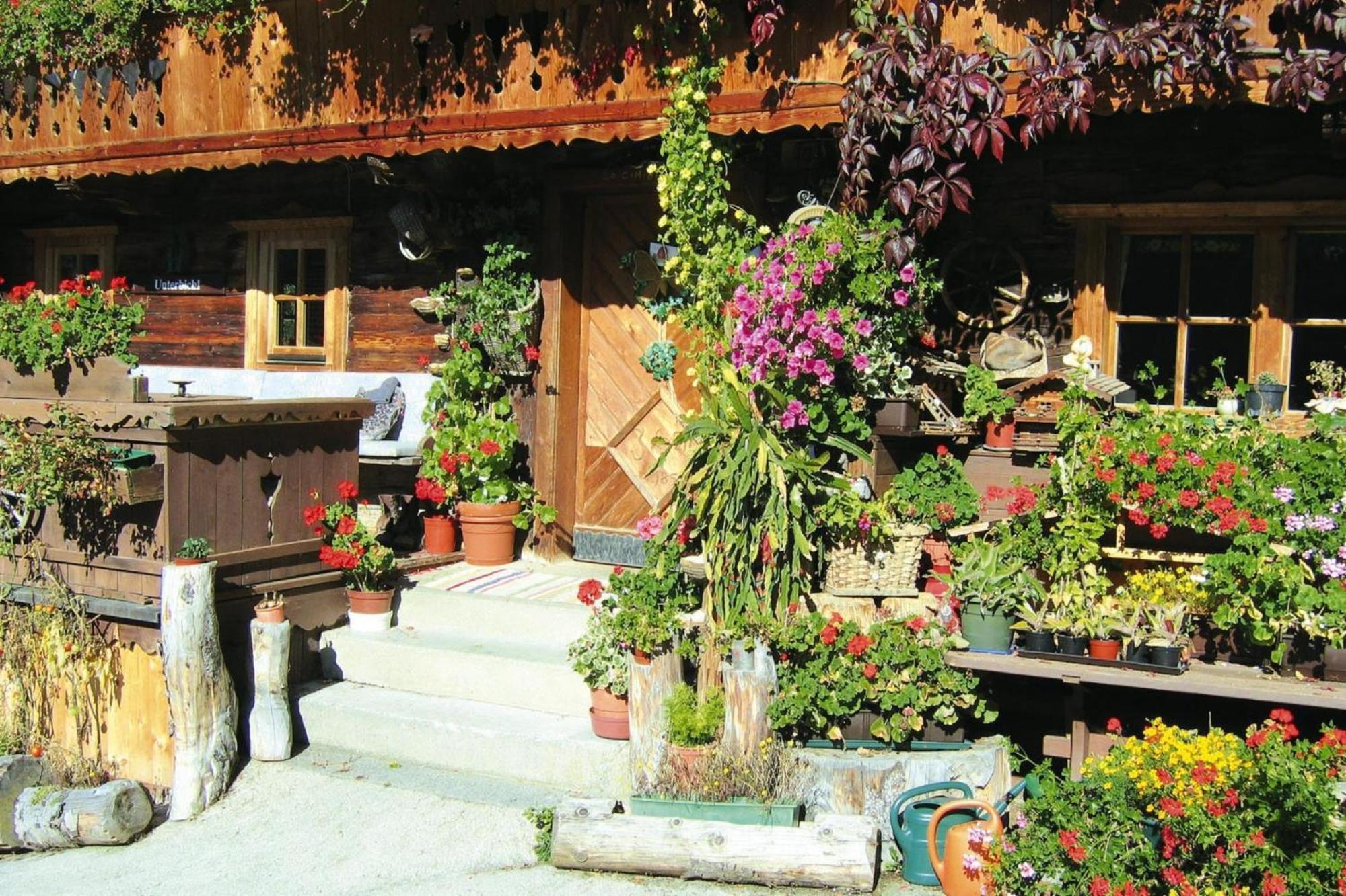 Apartments Schatzberg-Haus, Wildschoenau-Auffach Eksteriør bilde